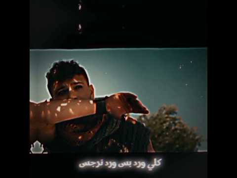 تسريب دوالي كامل اسمي كافي يخليني عجرف الشامي دوالي 2024 ترند تيك توك