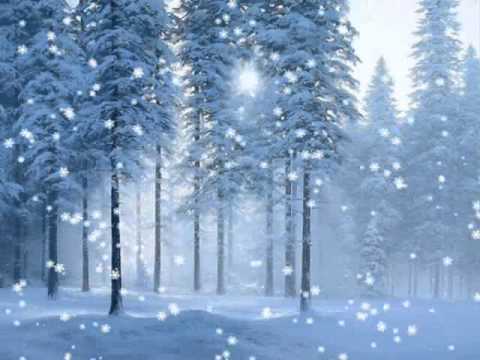 Jgufi Miraji - Shentan Axlos