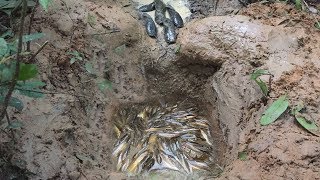 wow! Amazing Deep hole Trap Catch a lot of fish and eels Make By Smart Boy in cambodia