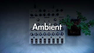 Ambient | LYRA-8