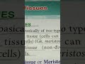 #all #study #describe #shortsfeed #explained#