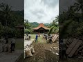 From Abandoned Village House to Dream Home#HouseTransformation #VillageHouse #beforeafterediting