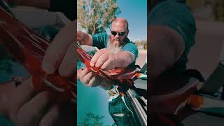 How Free Windshield Chip Repair Can Help You Avoid Insurance Claims