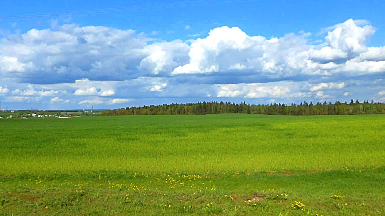  полей и лугов
