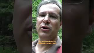 O desfiladeiro secreto que encanta a Eslovênia