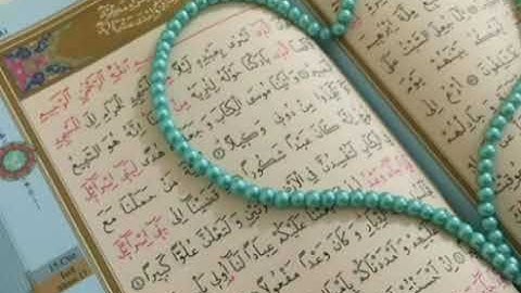سورة الإسراء: القارئ وديع اليمني
