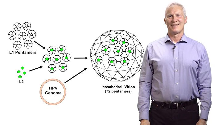 John Schiller (NCI at NIH) 1: Human Papillomavirus...