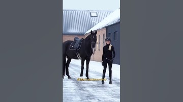 ✨️Embrace Your Uniqueness: Break Rules and Forge Your Own Path to #success!!🚀✨️#motivation #horse