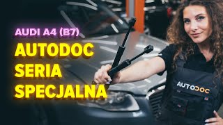 Jak zmienić Sprężyny amortyzatora DODGE AVENGER - przewodnik