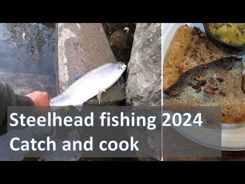 Float fishing for steelhead on the Credit River in November