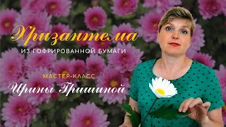 Как Сделать Хризантему Из Гофрированной Бумаги. Мастер-Класс.