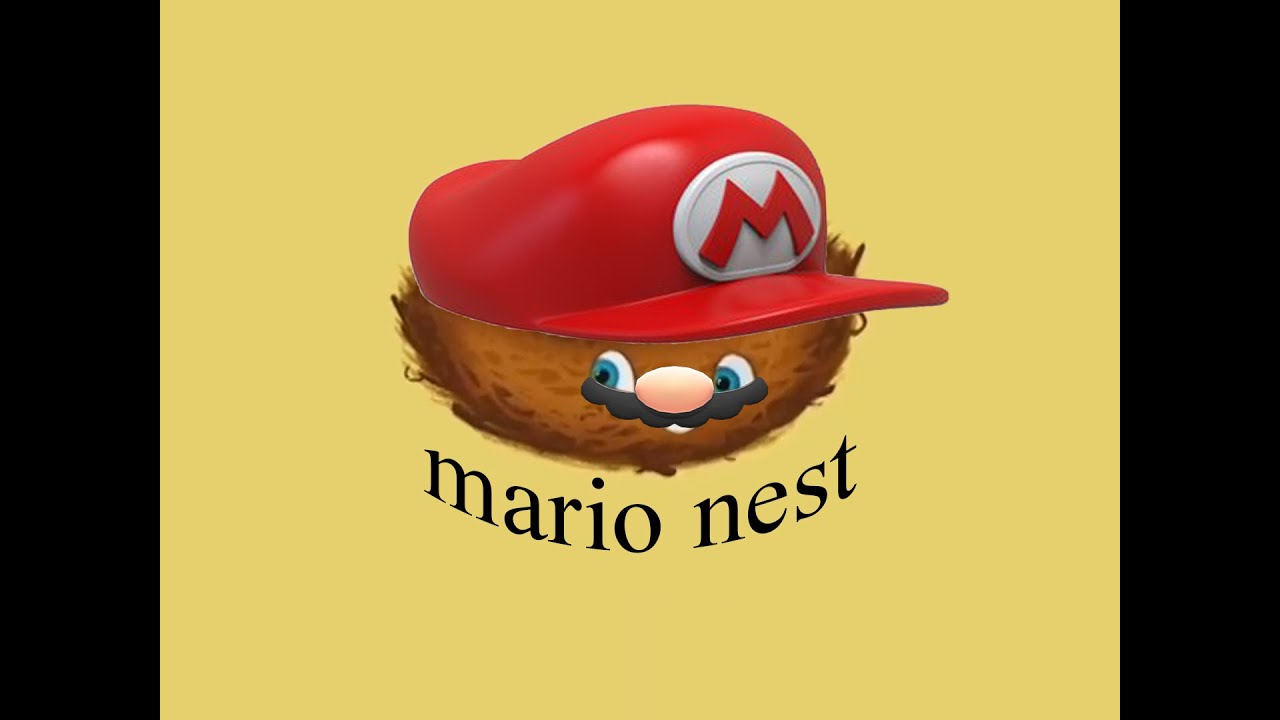 WildBrain / Happy Nest / Vissy / Playhouse Disney Original Logo (2007