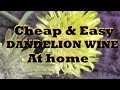 DANDELION WINE - Everything you need to know