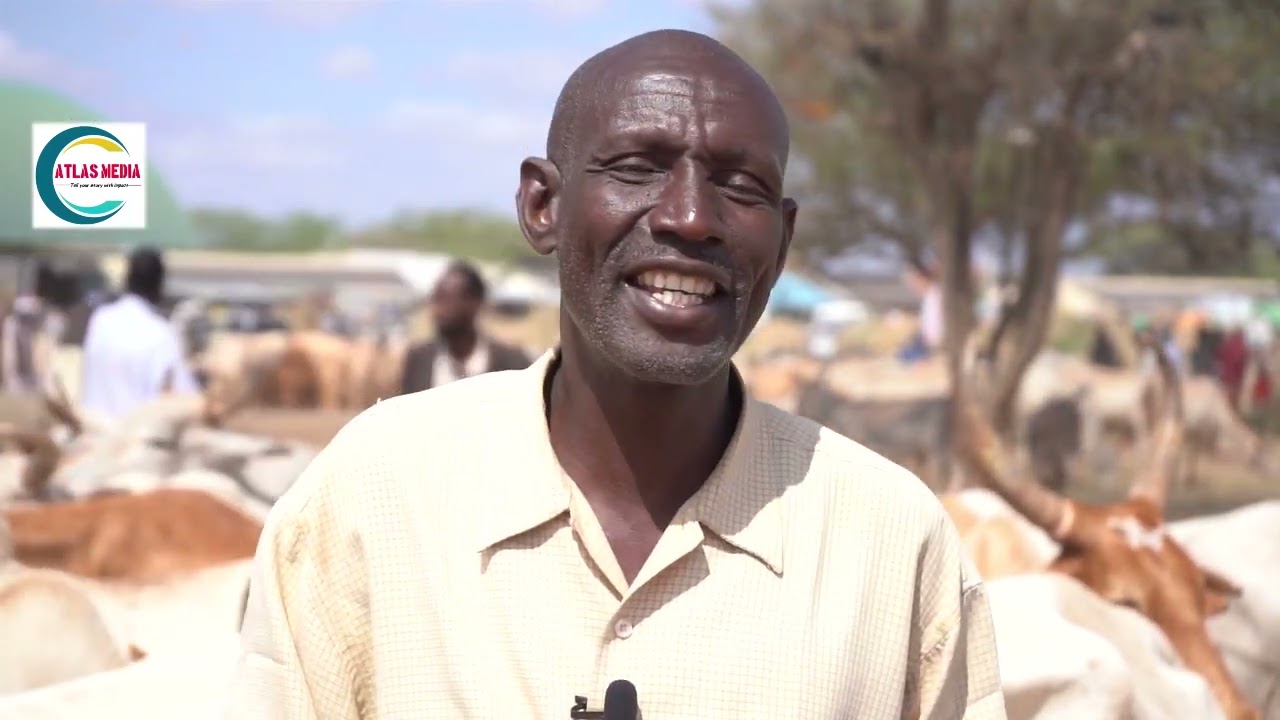 Garissa livestock market