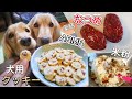 【犬 おやつ】米粉とナツメで犬用クッキーを手作り～カリカリ ASMR 咀嚼音