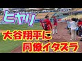 ひやり…大谷翔平が同僚から“いたずら”受ける Shohei Ohtani MLB