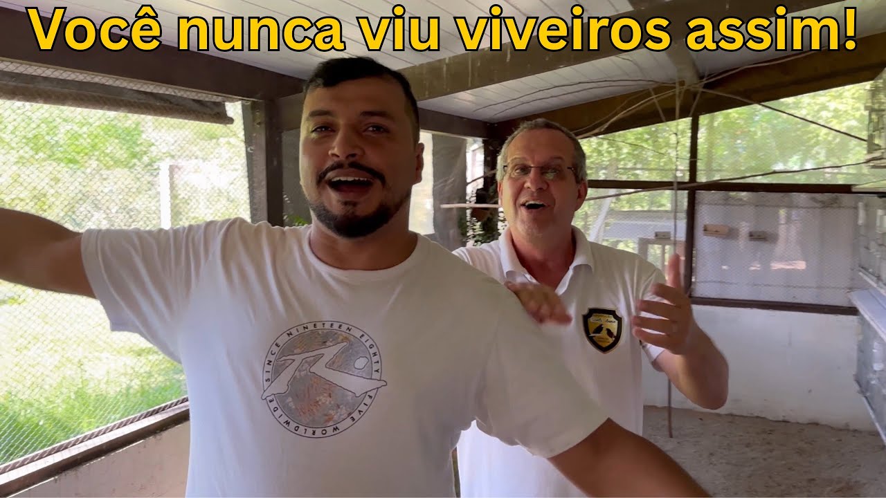 3 Viveiros ENORMES e a Polêmica com a Marca Famosa: Ele Fala Tudo!