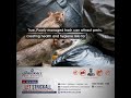 True or False   are pest drawn to trash