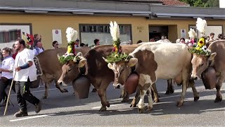 Alpabzug 2023, Näfels, GL/CH, (30. September)