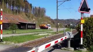 Thurbo vorbeifahrt am Bahnübergang Kollbrunn