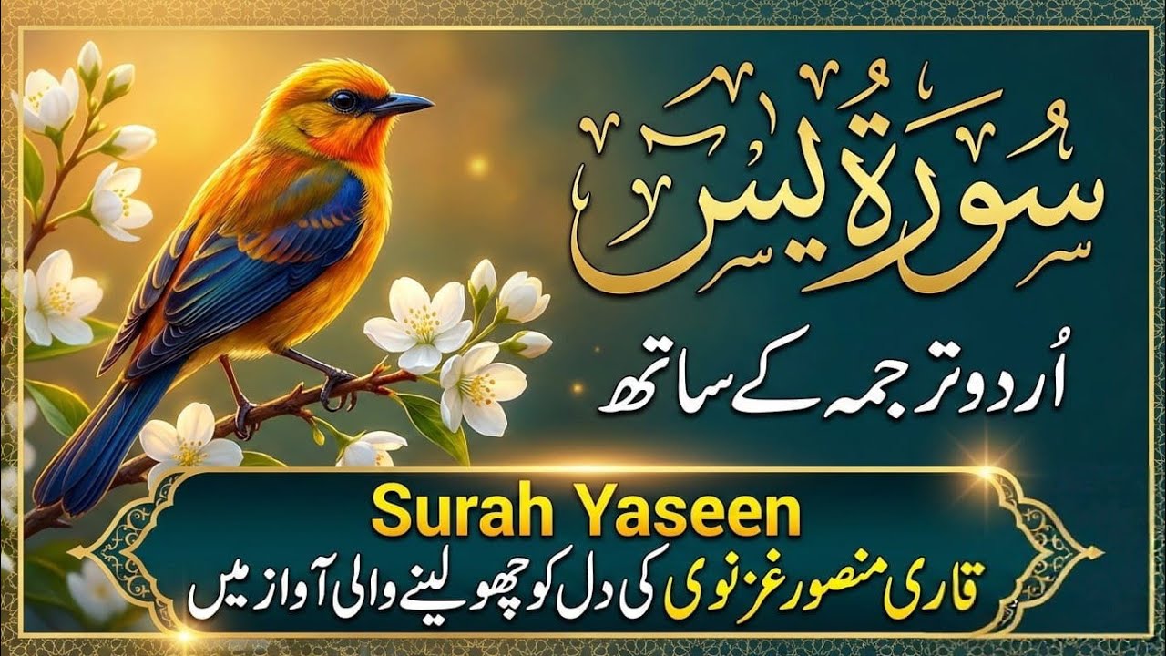 Surah Yaseen Full With Urdu Translation | Heart Touching Tilawat | قاری منصور غزنوی EP|01