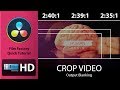 Film Factory quick tutorial: &quot;Davinci Resolve crop video , Output blanking&quot;