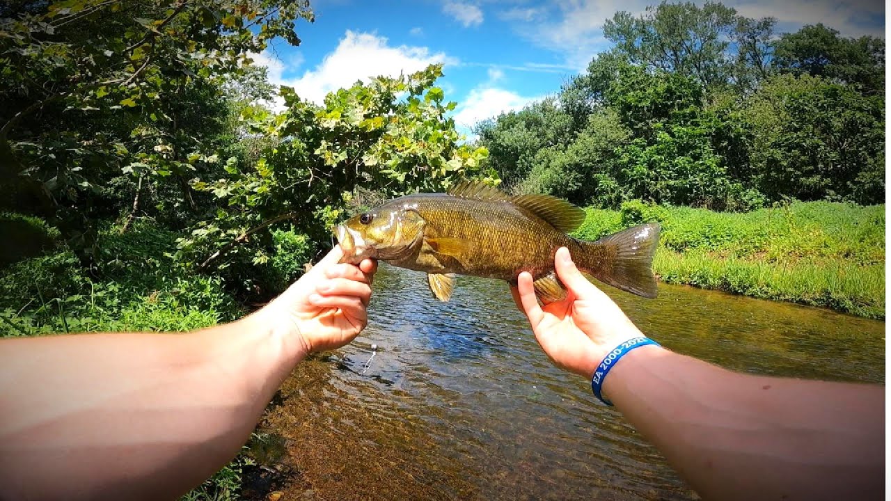 Backwoods Creek Fishing Mission For MONSTER Bass