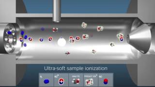 SIFT-MS: Animación