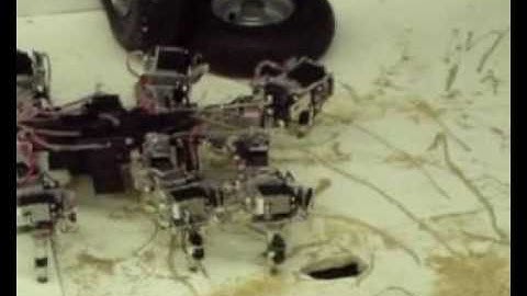 Autonomous complex behavior under neural chaos control