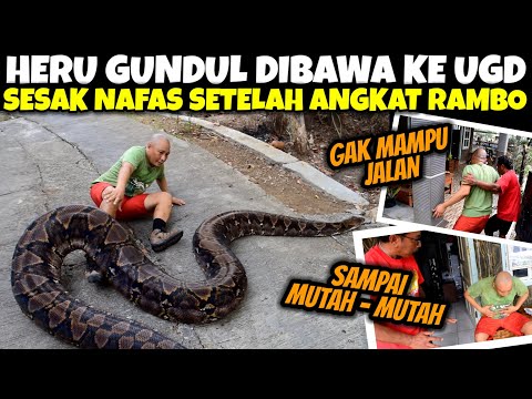 SAMPAI KESULITAN BERNAFAS & MUTAH - HERU GUNDUL TUMBANG