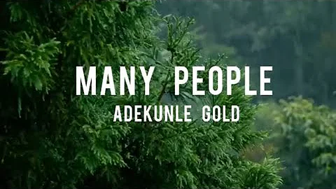 Adekunle Gold - Many People (lyrics)