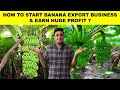 How To Start Banana Export Business || Export Banana From India || Export Banana To Dubai ||