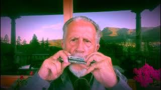 COWARD OF THE COUNTY ( HARMONICA )