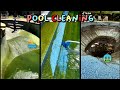 Satisfying Pool Cleaning TikTok Compilation ✨ #10 | Vlogs from TikTok