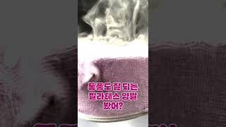 벗겨지지 않는 더블스트랩 필라테스 논슬립양말!