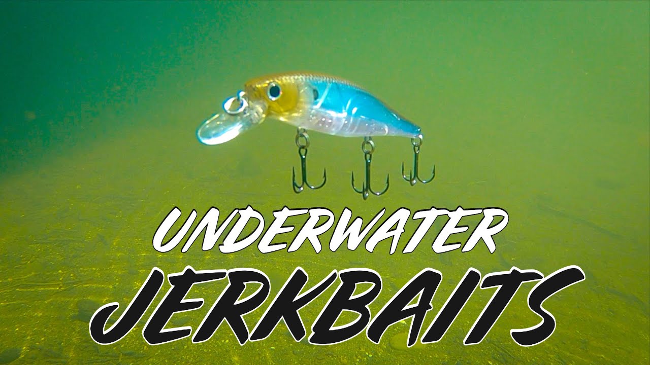 Underwater Jerkbait Footage! Viscious Bass Strikes During Bait