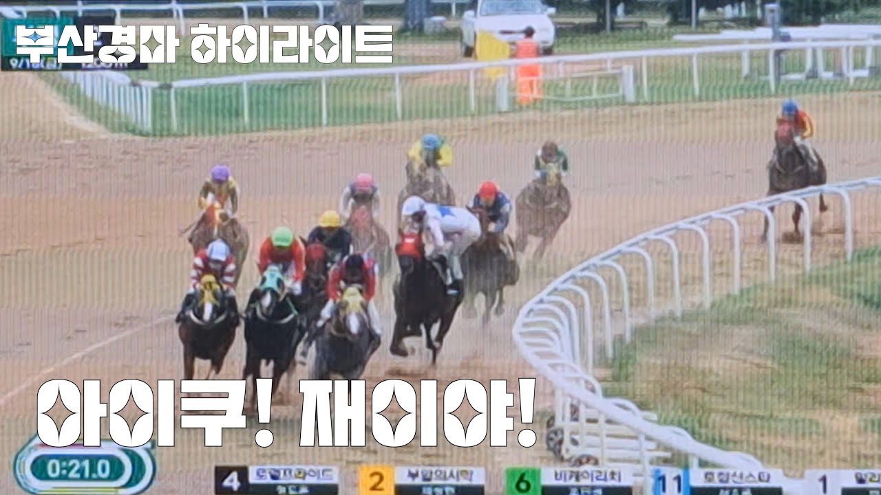 슈퍼땅콩 깜짝놀랬겠는데?(경주마 뛰다가 기수낙마사고/불행중 천만다행)