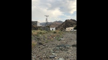 سورة التين ( الشيخ مشاري العفاسي