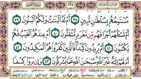 القرآن الكريم مقسم إلى أجزاء ｜ الجزء 27 مكتوب ｜ مقسم صفحات ｜ الشيخ حاتم فريد ｜ مصحف التجويد الملون
