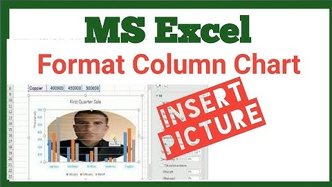 Creating and Formatting Column Charts in MS Excel | Formatting For Excel Column Charts,  Video #23