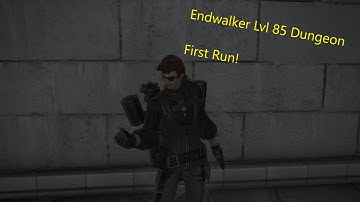 FFXIV: Endwalker Level 85 Dungeon - First Run