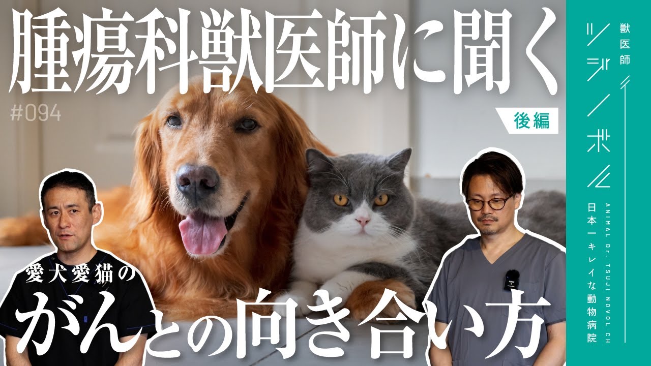 Cancer in dogs and cats | Part 2] Options other than chemotherapy