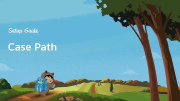 Setting up Case Path in Service Cloud Lightning