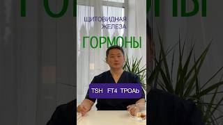 Гормоны 1 серия Щитовидная железа  TSH, FT4, TPOAb   #dr_galee #георгийли  #tsh  #ft4  #tpoab