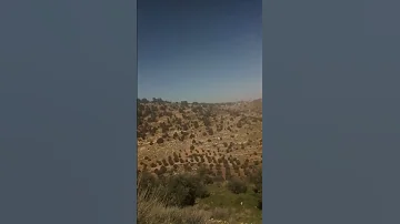 لغز وحل كلمة تتكون من ثلاثة أحرف وبها 21 نقطة 