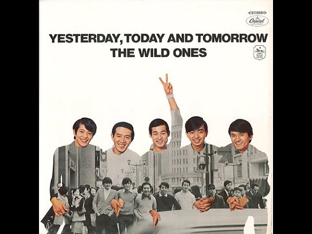 ワイルドワンズ : 夕日と共に～青空のある限り (Studio Iive