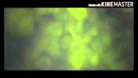 Derp intro medium Definition