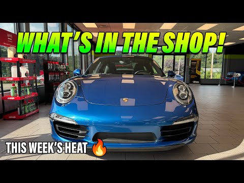 Ferrari, AMG, Z06, Porsche & More! Inside Blackout Tinting