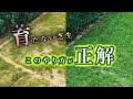 劇的に復活！芝生が育たない原因とその対策とは！