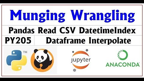 PY205 | Python Pandas Munging Wrangling | Camel Academy